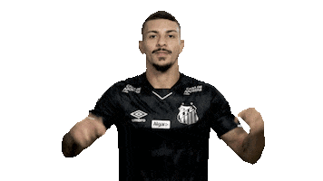 Alison Sticker by Santos Futebol Clube