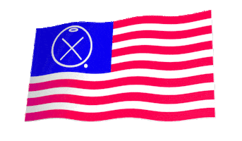 Usa America Sticker by Holypopstore