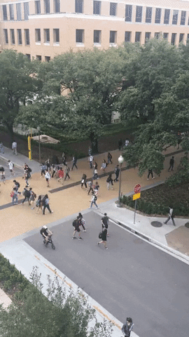 University Of Texas Students GIF by College of Natural Sciences, UT Austin
