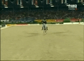 Dressage GIF