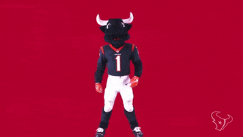Mascot Think GIF by Houston Texans