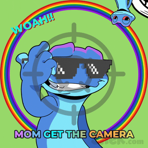 Rainbow Sunglasses GIF by Snek