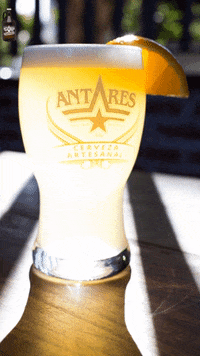 Beer Porn Gif - Beerporn GIFs - Get the best GIF on GIPHY