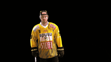 Hockey Ice GIF by Vienna Capitals