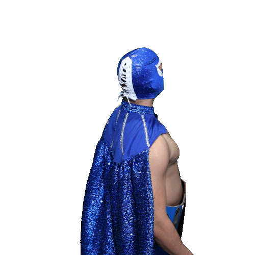 Maskadores Taco Shop Sticker