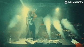 Dance Music Festival GIF by Spinnin' Records