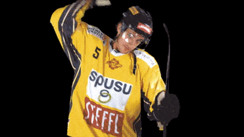 Hockey Caps GIF by Vienna Capitals