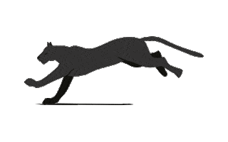 Panter 25Jaar Sticker by Ploum