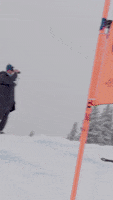 Racing Downhill Skiing GIF by U.S. Ski & Snowboard Team