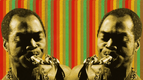 Fela Kuti GIF by Partisan Records