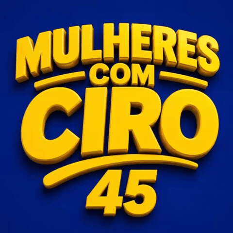 Ciro Gomes GIF by Michel