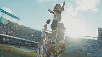 ucf knights GIF by University of Central Florida