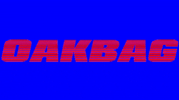 Skate Norway GIF by OAKBAGsktbs