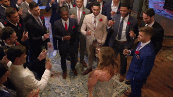 abc cheers GIF by The Bachelorette