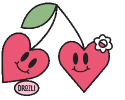 Drozli Kombuha Sticker