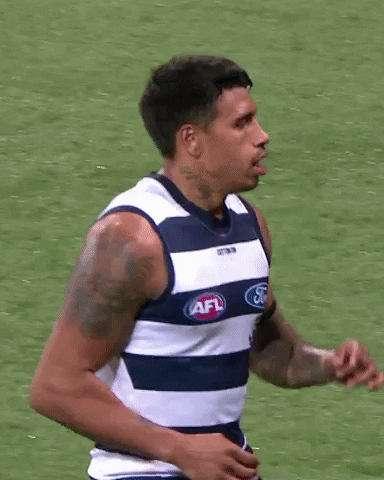 kelly afl GIF by geelongcats