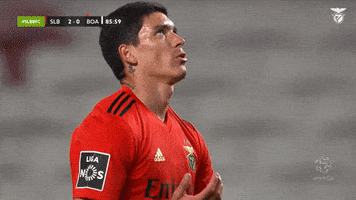 Angry Sl Benfica GIF by Sport Lisboa e Benfica