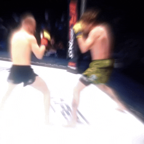 Cagewarriors GIF