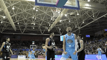 come on basketball GIF by ACB