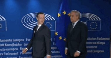 Mark Zuckerberg GIF