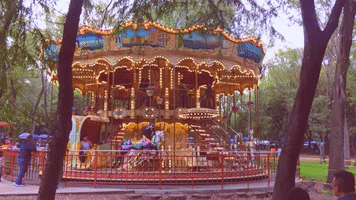 Vintage Vintagecarrousel GIF