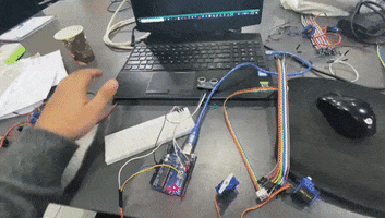 Animated GIF