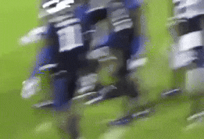 Kentucky Wildcats GIF