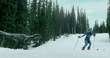 Stay Back Winter Olympics GIF by Jurassic World