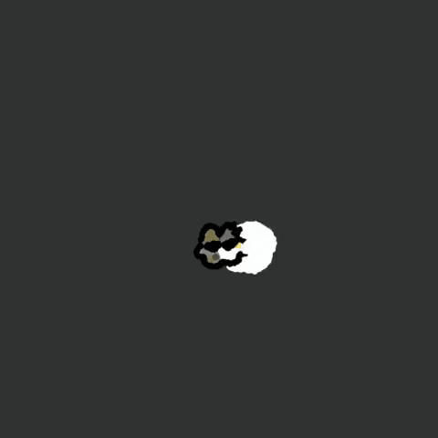 Light GIF