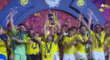 Cristiano Ronaldo GIF