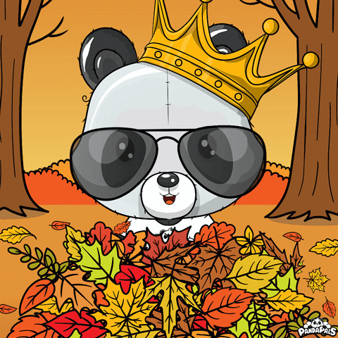 Sweater Weather Fall GIF by PandaPals