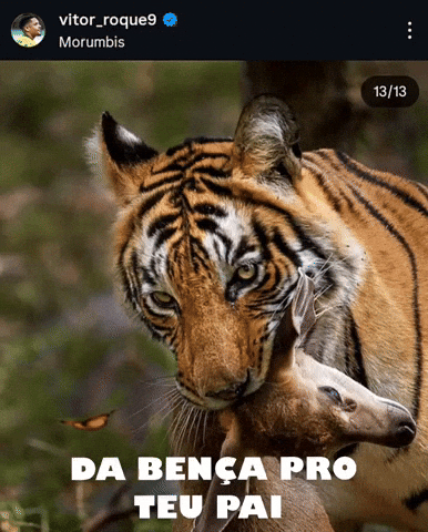 Sep GIF