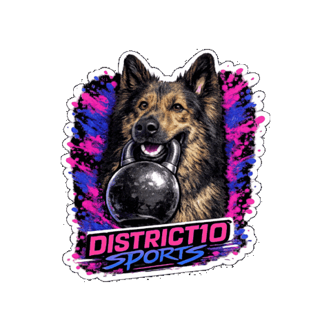 D10 Sticker by district10sports