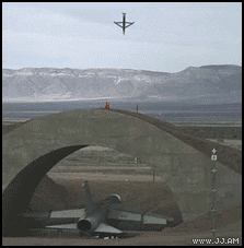 giphy.gif