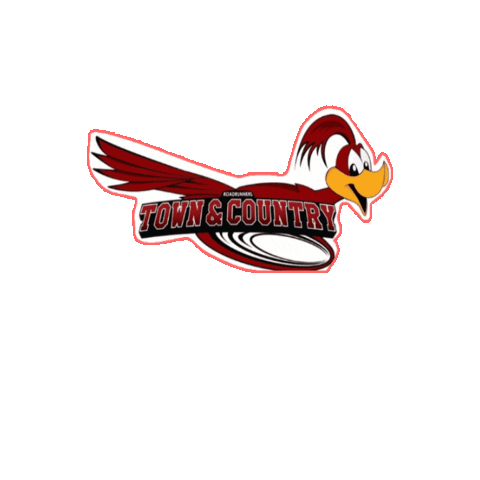 Sierra Vista Unified School District Sticker