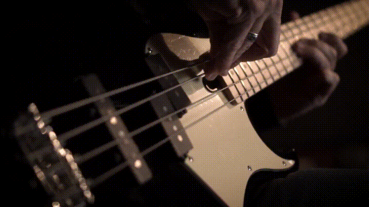 bass guitar GIF