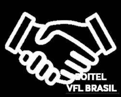 VFL BRASIL GIF