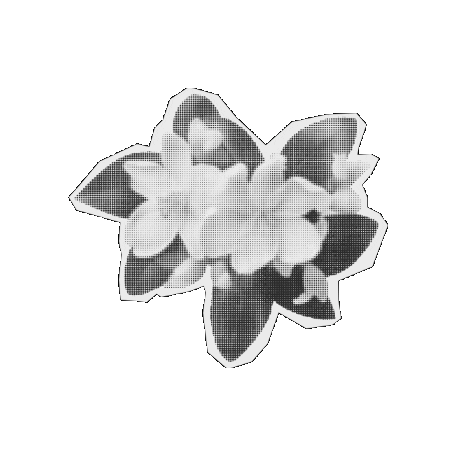 Mothers Day Flower Sticker by CDL_SM