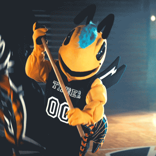 yellowjackets cujackets GIF by Cedarville University