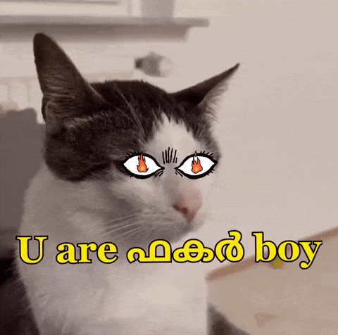 Angry Cat GIF