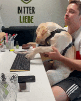 Dog Work GIF by BitterLiebe
