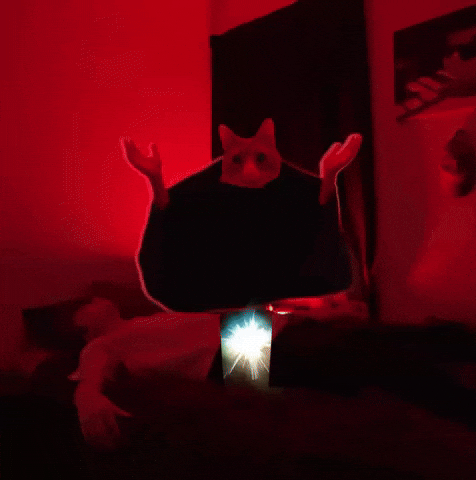 Oliver GIF