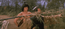 Martial Arts Training GIF by Shaw Brothers