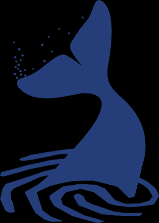 Travel Beluga GIF by Cape Tracks