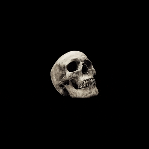 Skull Dying GIF by Dear Media Studio