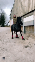 Horse Performs Dance Routine With Dressage Trainer