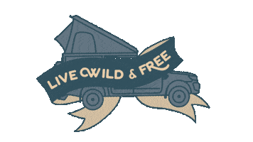 Driving Ford Sticker by #STEVENAUFREISEN