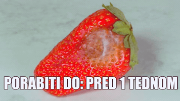 Sustainability GIF