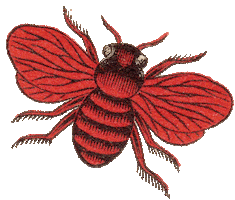 Tšungel Sticker