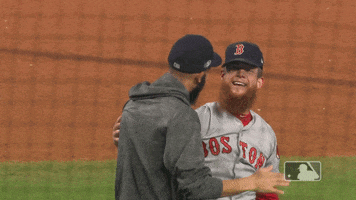 price win GIF by MLB
